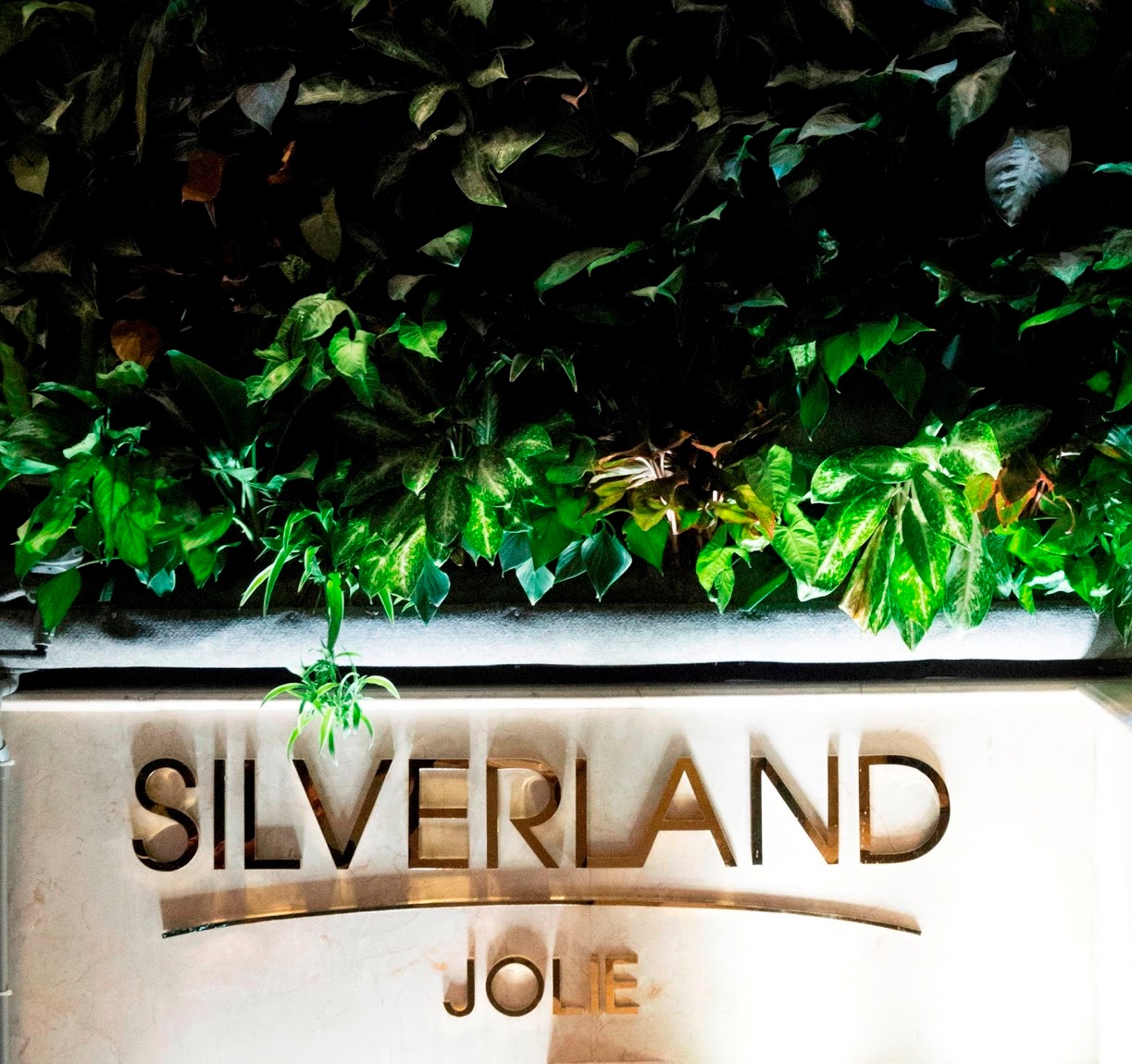 Silverland Jolie Hotel & Spa - Hồ Chí Minh
